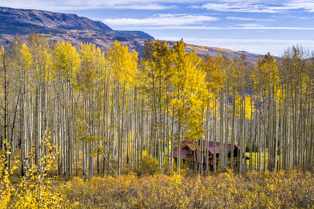 Aspen light and mountain air