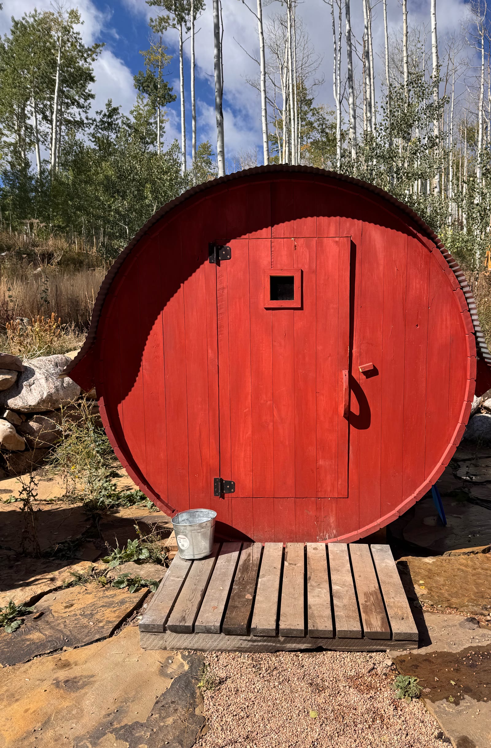 The barrel sauna, tucked into the grove