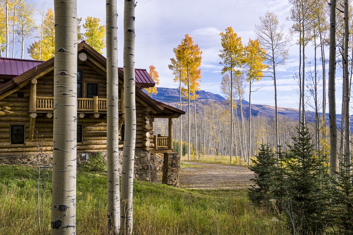 Quiet Log Chalet glowing among aspen trees